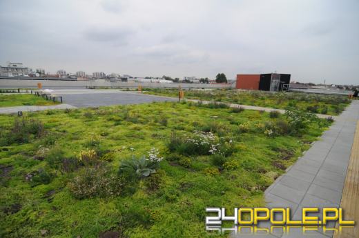 Odwiedziliśmy budowę Centrum Przesiadkowego Opole Główne. Zielony dach robi wrażenie