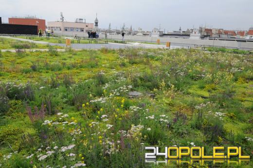 Odwiedziliśmy budowę Centrum Przesiadkowego Opole Główne. Zielony dach robi wrażenie
