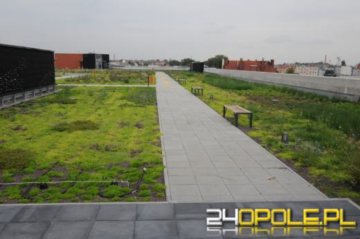 Odwiedziliśmy budowę Centrum Przesiadkowego Opole Główne. Zielony dach robi wrażenie