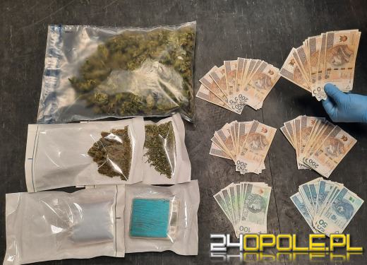 46-latek założył nielegalną plantację marihuany. Namierzyli ją kryminalni z Namysłowa