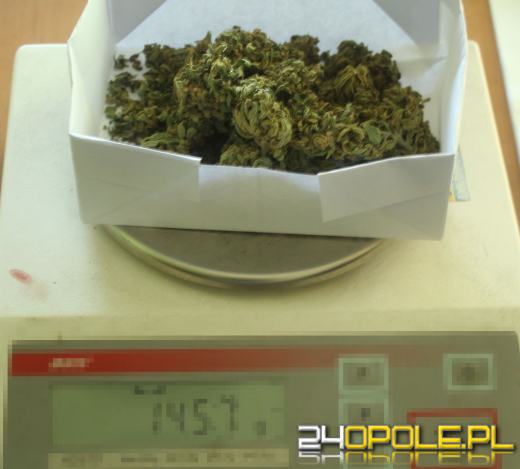 46-latek założył nielegalną plantację marihuany. Namierzyli ją kryminalni z Namysłowa