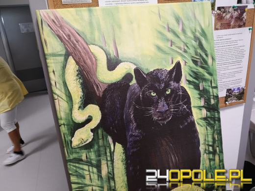 Obrazy i materiały plastyczne dla Oddziału Pediatrii USK