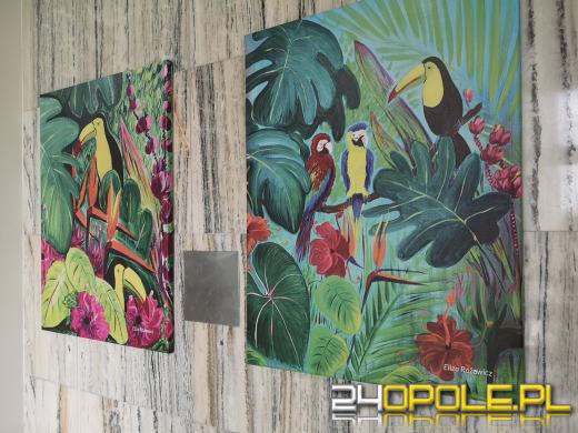 Obrazy i materiały plastyczne dla Oddziału Pediatrii USK