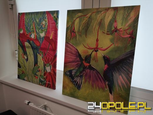 Obrazy i materiały plastyczne dla Oddziału Pediatrii USK