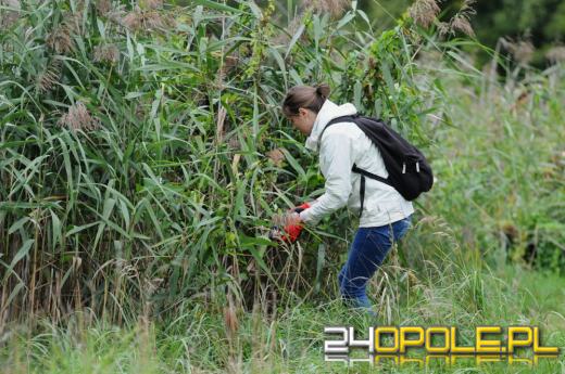 Akcja sprzątania w Opolu. Za zebrane śmieci odebrali książki