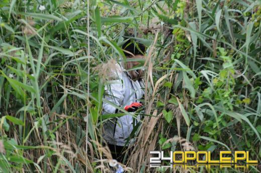 Akcja sprzątania w Opolu. Za zebrane śmieci odebrali książki