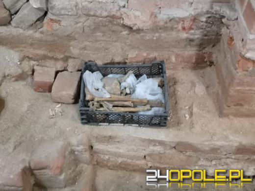 W opolskiej katedrze kryje się jeszcze wiele tajemnic