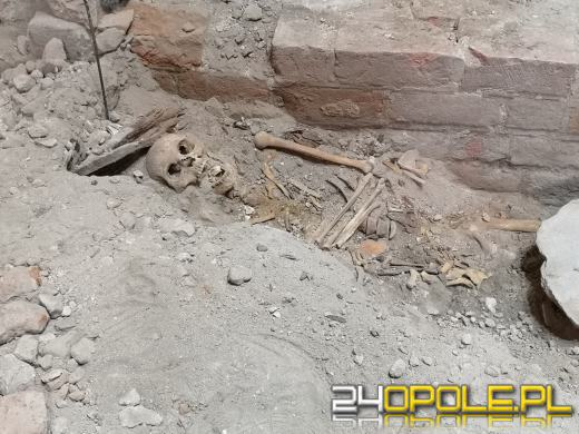 W opolskiej katedrze kryje się jeszcze wiele tajemnic