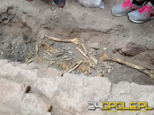 W opolskiej katedrze kryje się jeszcze wiele tajemnic