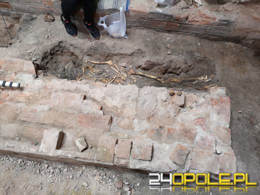 W opolskiej katedrze kryje się jeszcze wiele tajemnic