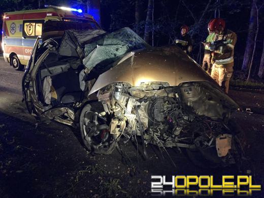 Rajd pijanego kierowcy zakończony na drzewie