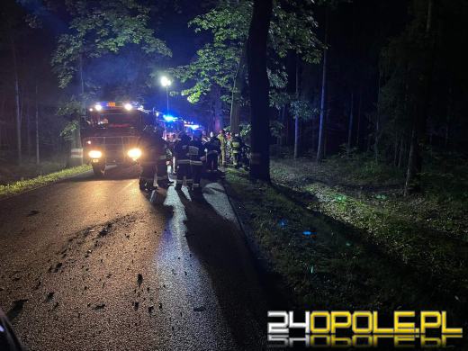 Tragiczny wypadek na dw 414 Opole-Prudnik