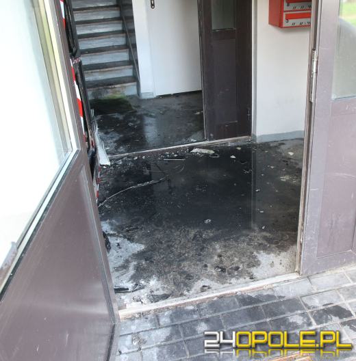 3 zatrzymanych w sprawie pożaru