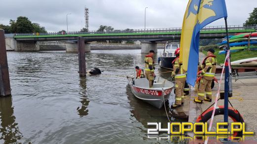 Strażacy wyciągnęli krowę z Odry. Zwierzę było martwe