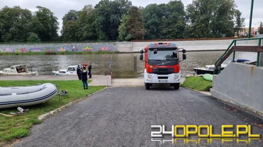 Strażacy wyciągnęli krowę z Odry. Zwierzę było martwe