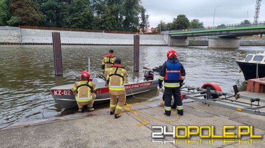 Strażacy wyciągnęli krowę z Odry. Zwierzę było martwe