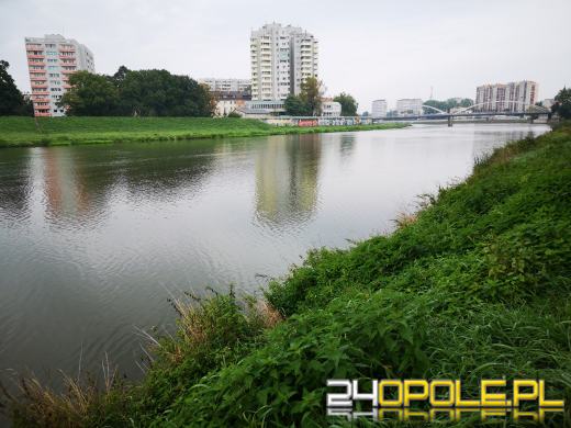 Problem katastrofy ekologicznej na Odrze nadal występuje! 