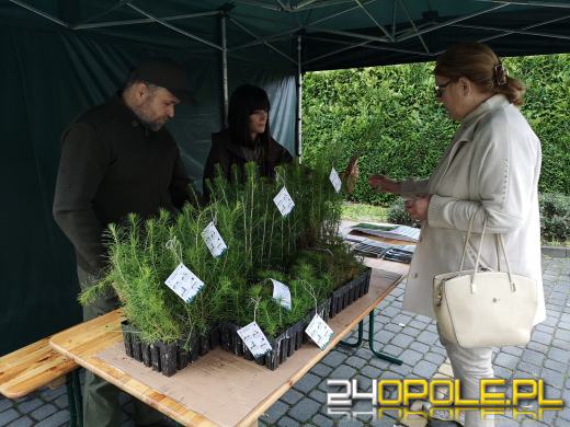 Czwarta edycja akcji #sadziMY. W nadleśnictwach można odebrać sadzonki drzew