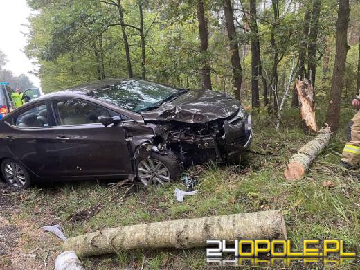 Podczas wyprzedzania stracił panowanie nad pojazdem. Uderzył w drzewo