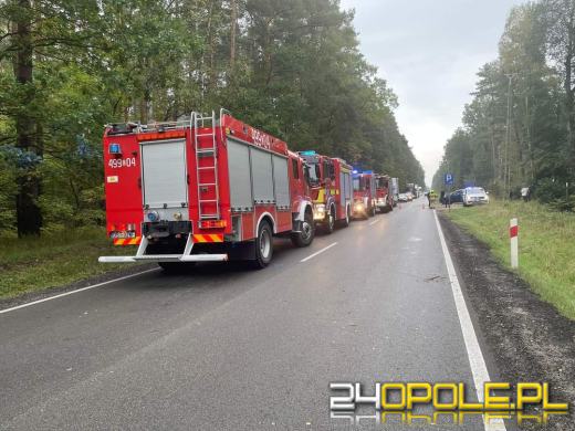Podczas wyprzedzania stracił panowanie nad pojazdem. Uderzył w drzewo