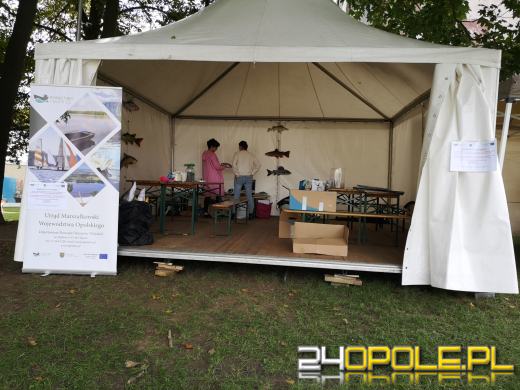 Rozpoczęło się Wojewódzkie Święto Karpia Opolskiego