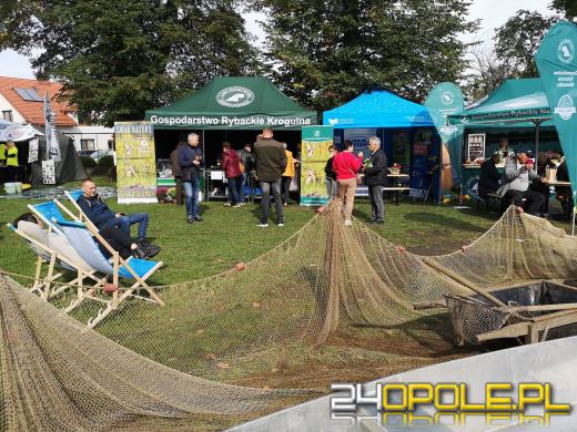 Rozpoczęło się Wojewódzkie Święto Karpia Opolskiego