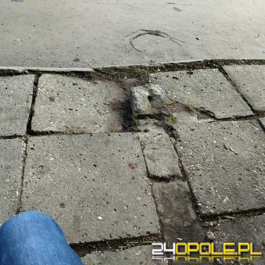 Tragiczny stan chodnika przy przystanku na ulicy Katowickiej