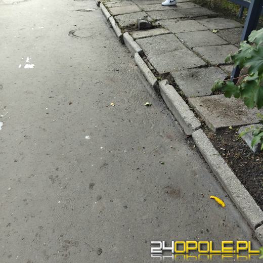Tragiczny stan chodnika przy przystanku na ulicy Katowickiej