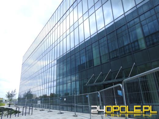 Na szybach Centrum Usług Publicznych w Opolu giną ptaki