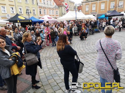 Słodko na opolskim Rynku. Trwa Festiwal Czekolady!