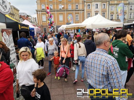 Słodko na opolskim Rynku. Trwa Festiwal Czekolady!