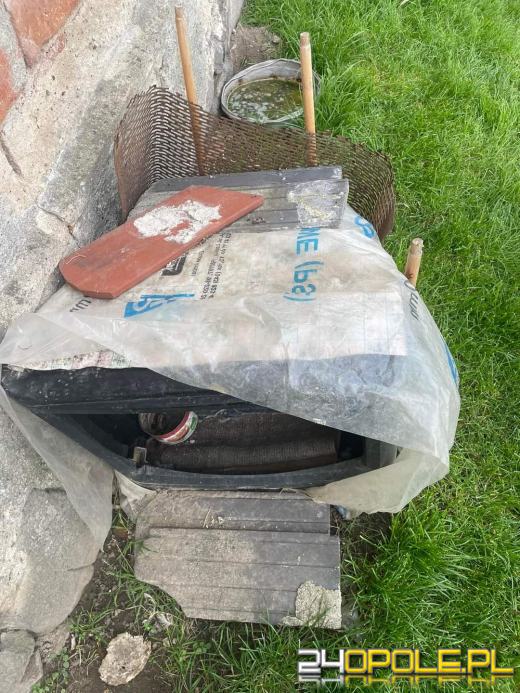 Już raz odebrano 90-latce psa za znęcanie się. Wzięła kolejnego 