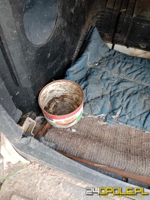 Już raz odebrano 90-latce psa za znęcanie się. Wzięła kolejnego 