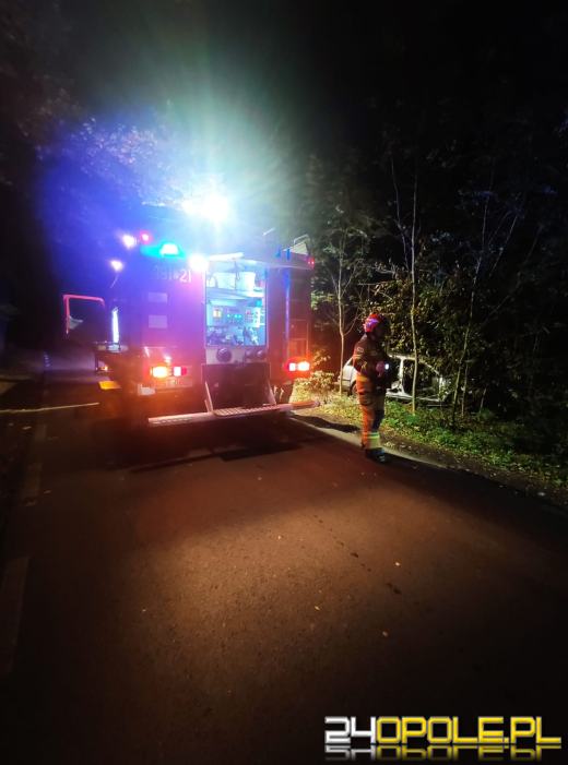 Pożar samochodu osobowego w lesie w miejscowości Sieroniowice