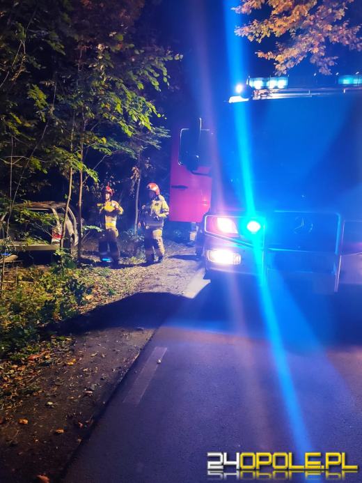 Pożar samochodu osobowego w lesie w miejscowości Sieroniowice