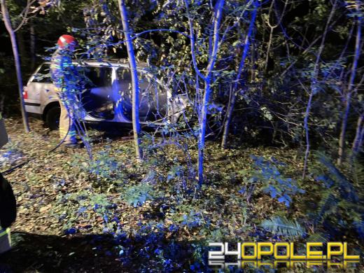 Pożar samochodu osobowego w lesie w miejscowości Sieroniowice