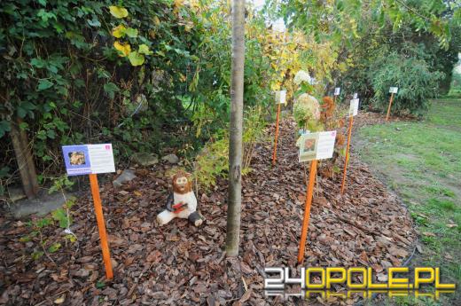 Tajemnicy ogród dla podopiecznych fundacji DOM