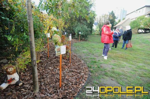 Tajemnicy ogród dla podopiecznych fundacji DOM