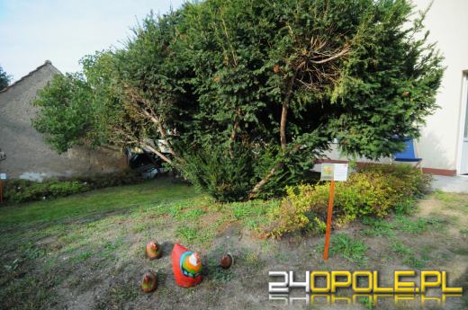 Tajemnicy ogród dla podopiecznych fundacji DOM