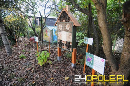 Tajemnicy ogród dla podopiecznych fundacji DOM
