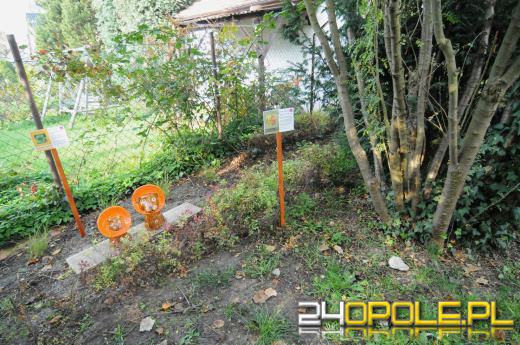 Tajemnicy ogród dla podopiecznych fundacji DOM