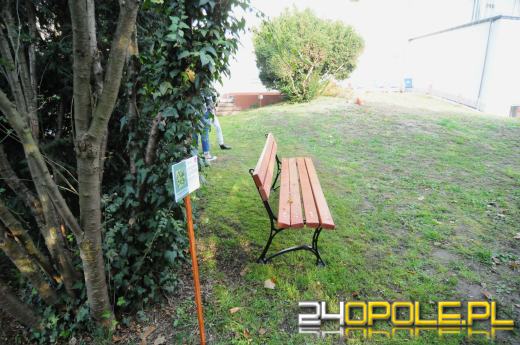 Tajemnicy ogród dla podopiecznych fundacji DOM