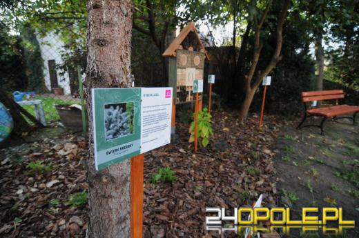 Tajemnicy ogród dla podopiecznych fundacji DOM