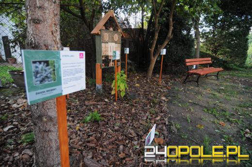 Tajemnicy ogród dla podopiecznych fundacji DOM