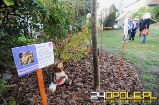 Tajemnicy ogród dla podopiecznych fundacji DOM