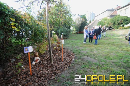 Tajemnicy ogród dla podopiecznych fundacji DOM