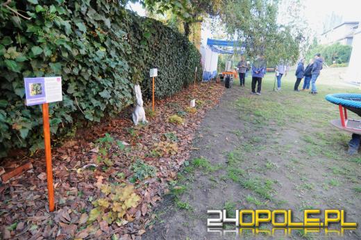 Tajemnicy ogród dla podopiecznych fundacji DOM