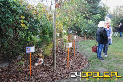 Tajemnicy ogród dla podopiecznych fundacji DOM