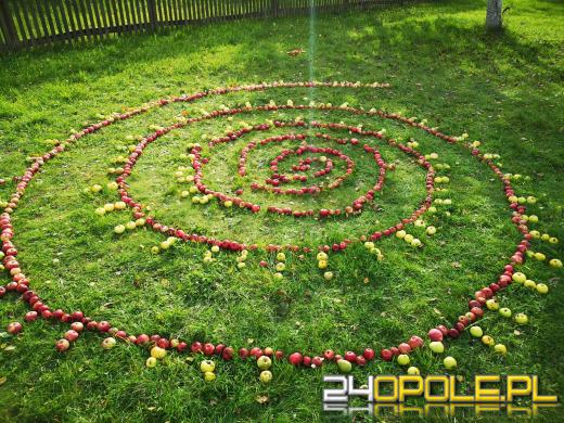 Duże zainteresowanie Targami Miodu i Rękodzieła w Bierkowicach