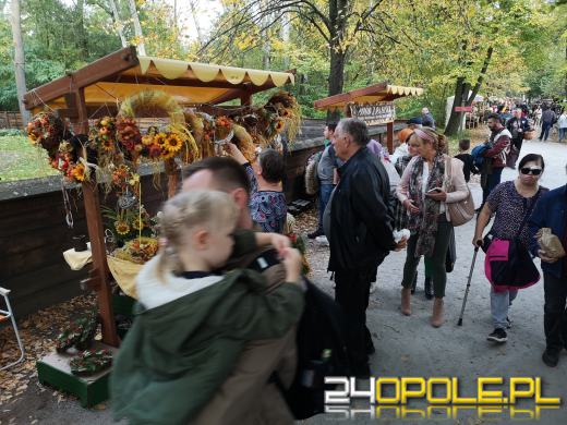 Duże zainteresowanie Targami Miodu i Rękodzieła w Bierkowicach
